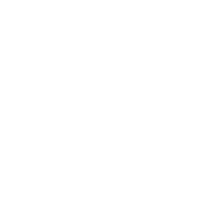 Nursing Home Litigation